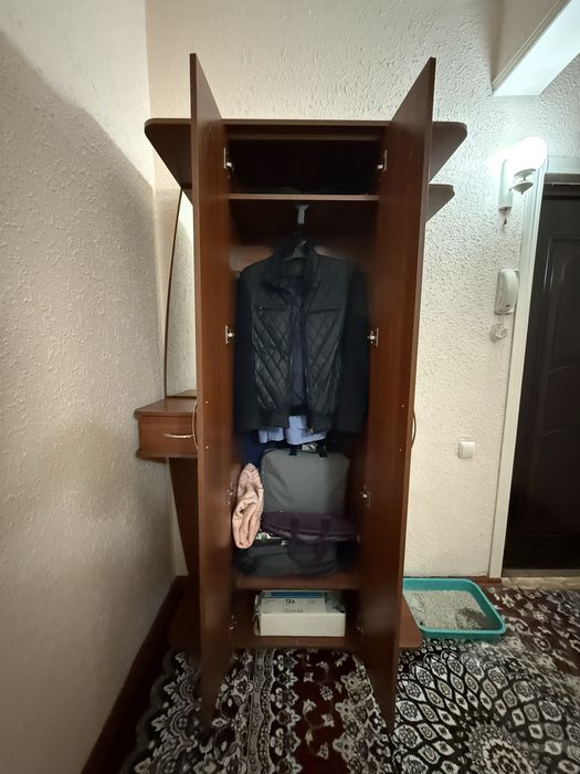 Kirish xonasi uchun shkaf sotiladi (garderob)