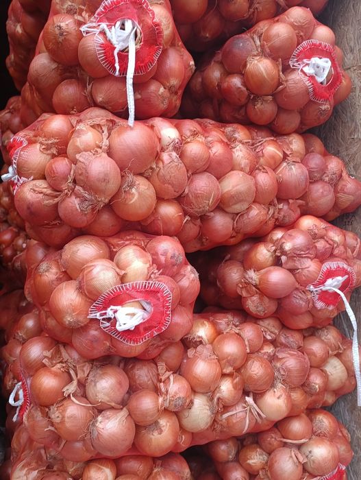 Лук оптом 40 тенге.