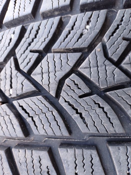 Гуми 205/55/16 Дънлоп