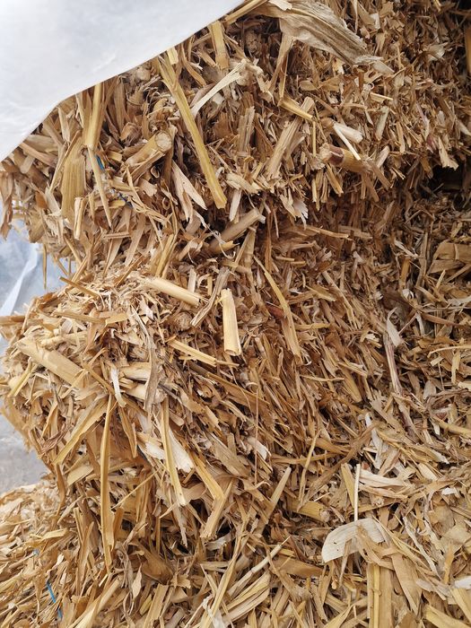 Vând baloti cocenii