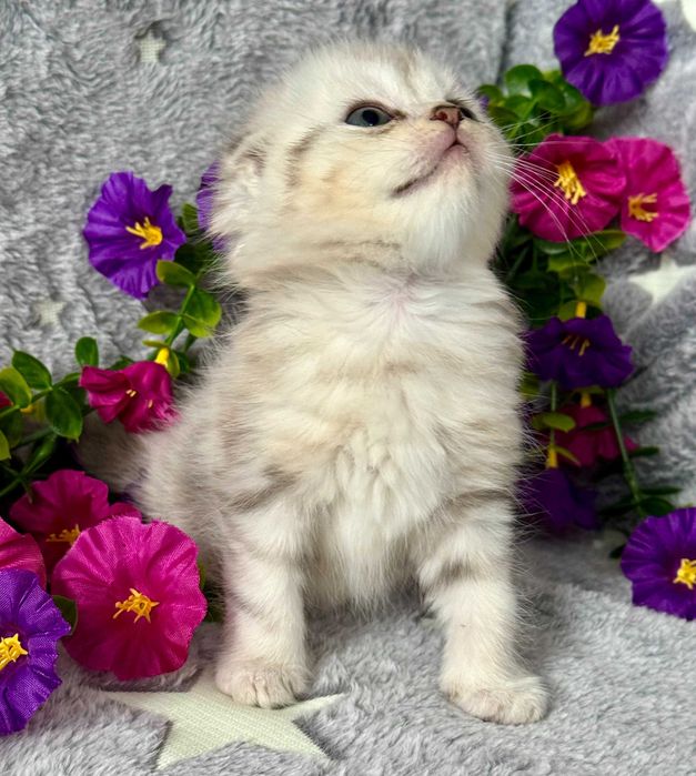 мраморная девочка