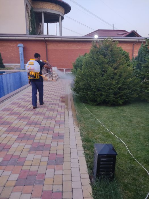Archa kesish dorilash xizmati