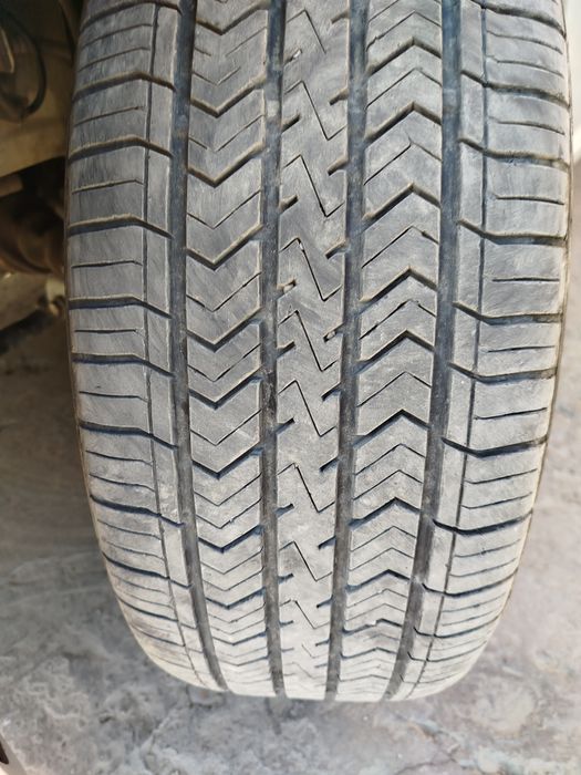 17 diska balon xolati ideal