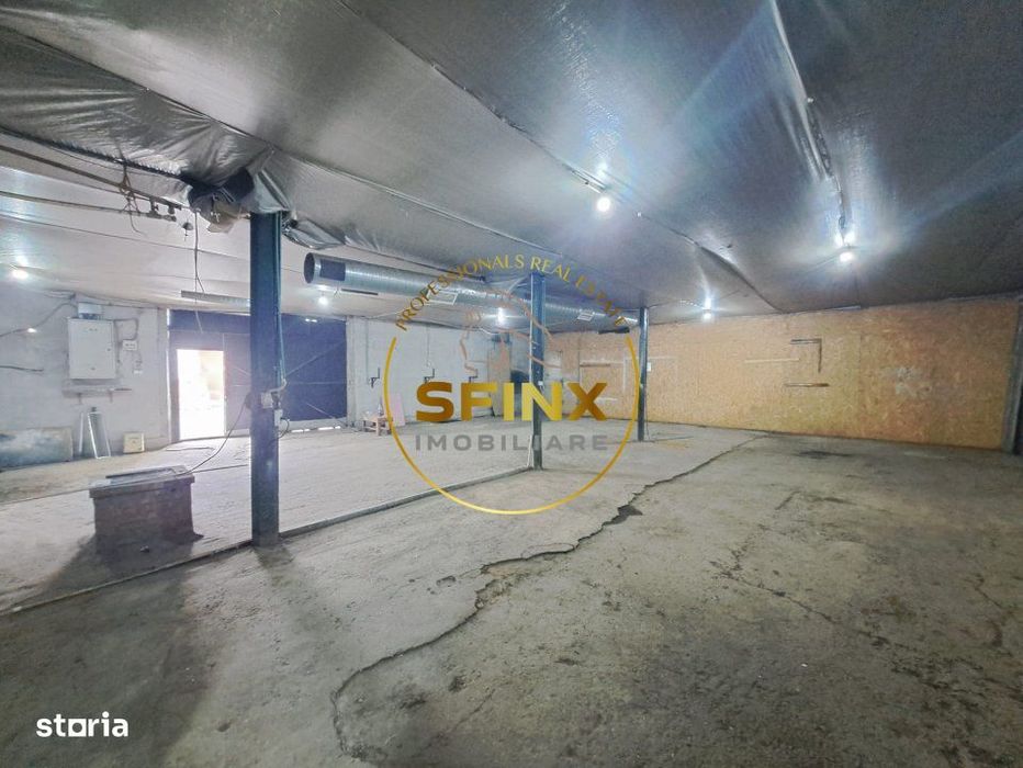 Hale de inchiriat Doamna Ghica, Baicului, ideal depozitare