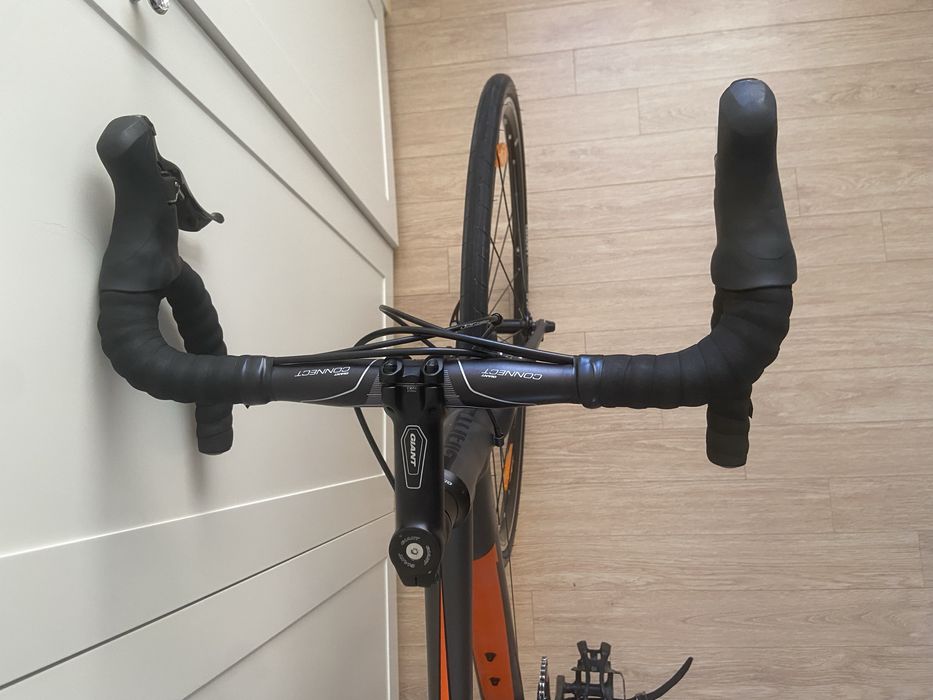 Giant Contend 1 2025