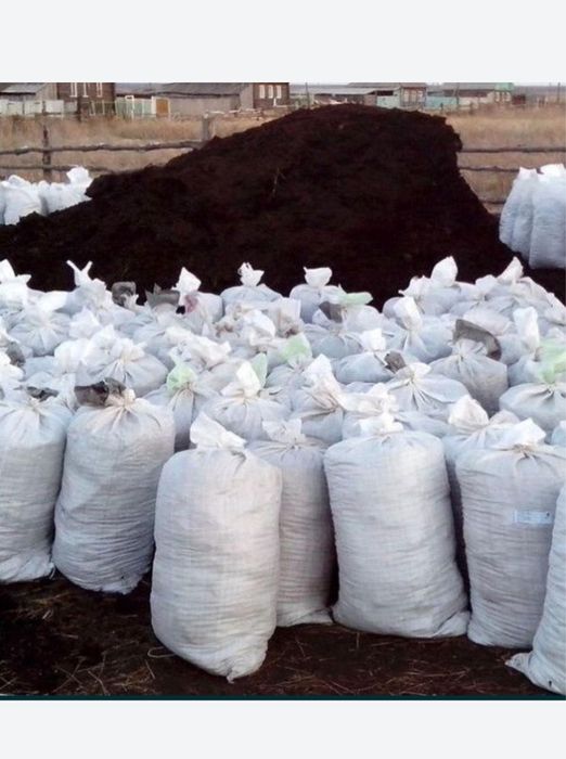 Навоз. Бесплатно доставка