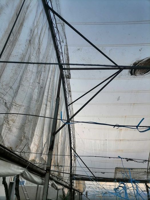 Issiqxona (теплица)