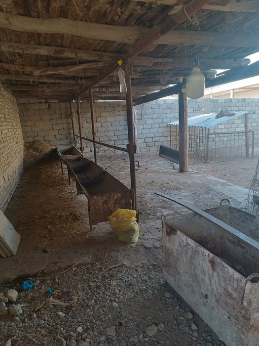 Срочно Бизнесмен акалар бизнес учун ,Аргунда Ташкент парфюм олдида