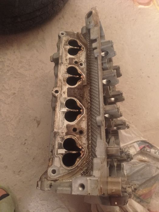 Кобылт родной галопкыс 2014 жыл жагдай жаксы