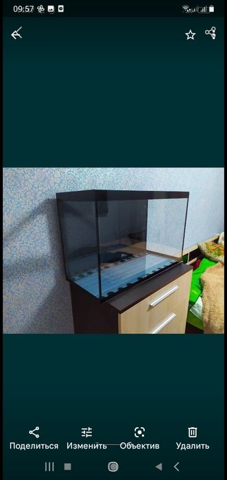 Аквариумы на заказ