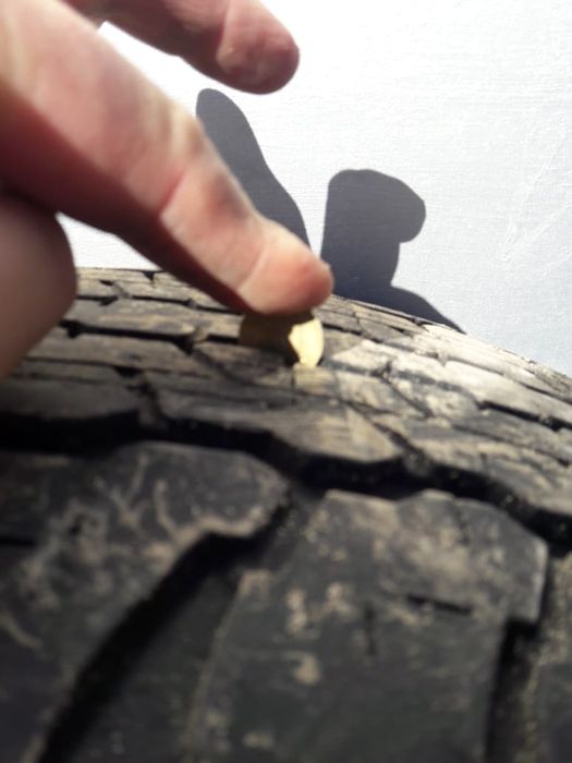 Продам резину Dunlop.