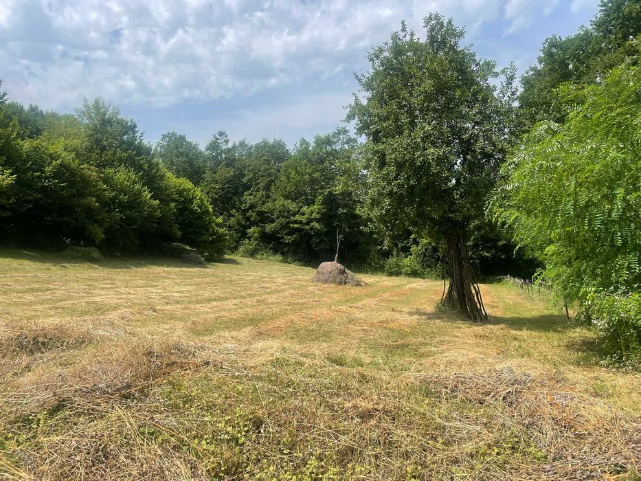 Teren extravilan de vanzare -faneata