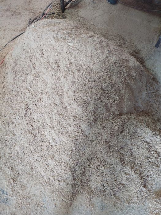 Опилки дерево , карагач,струшка