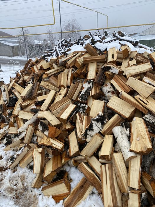 Берёза Дрова Баня