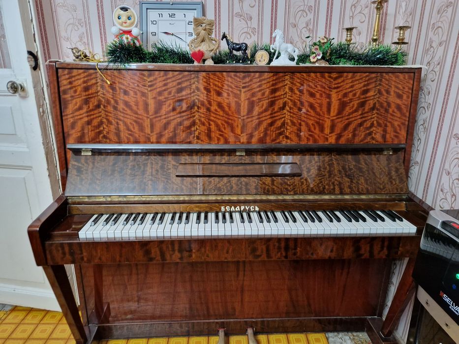 Пианино беларусь