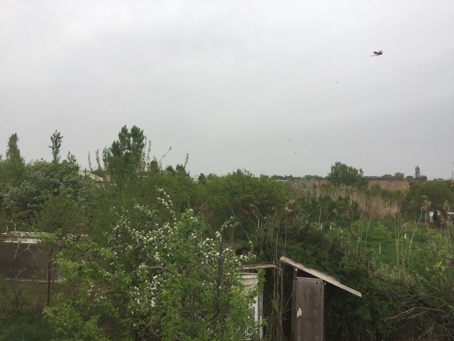 Продается отличный дом с участком