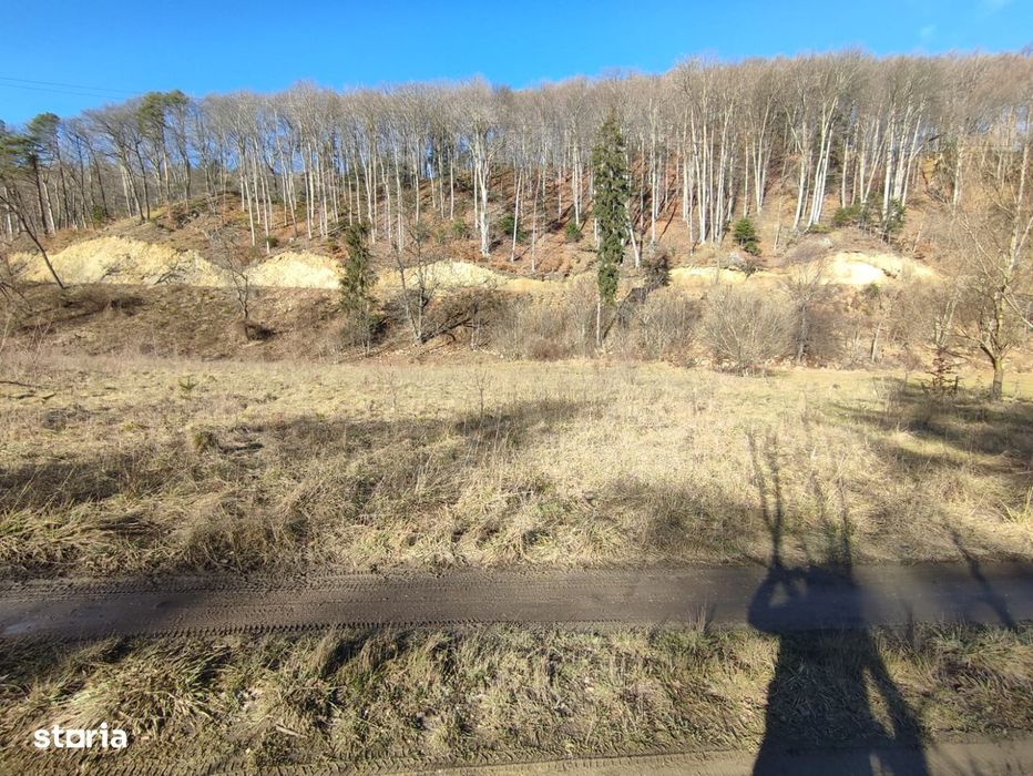 Teren Intravilan 1150mp, Timisu de Jos, Dambul Morii