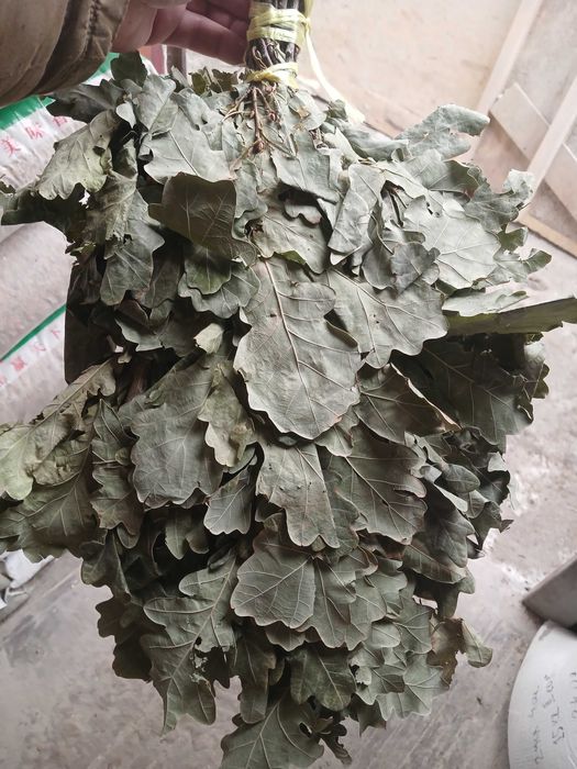 Продам дубовые веники.