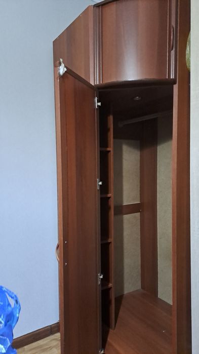 Шифанер  углавой