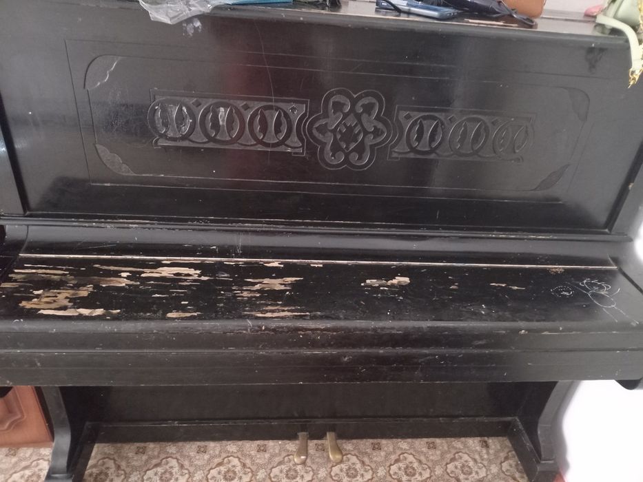 Пионино большой черный