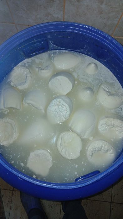 Brinza de vaca proaspăta