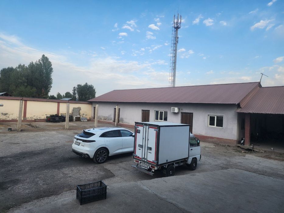Холодильные камеры на 800 тонн