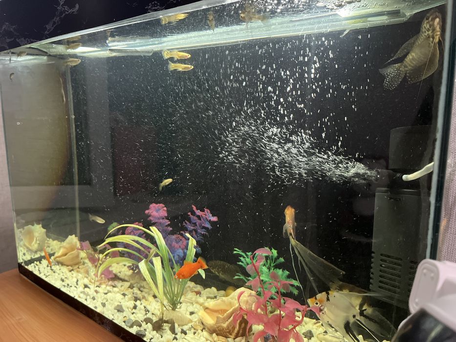 Продам аквариум 80л