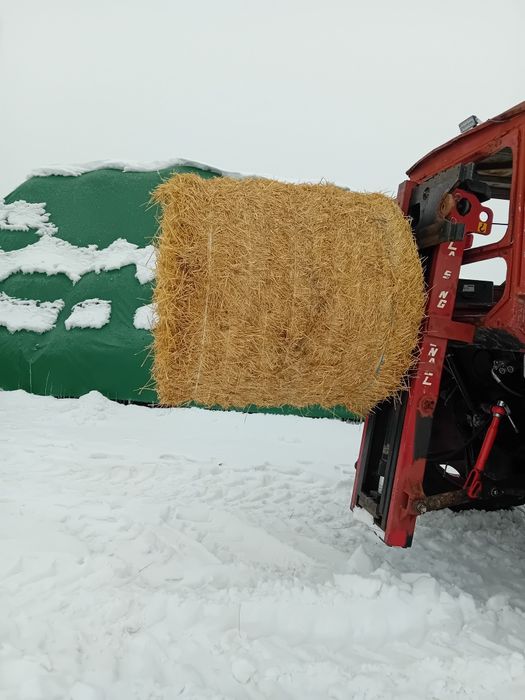 Baloti de paie de grau