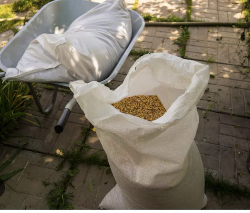 Продажа кукурузы …