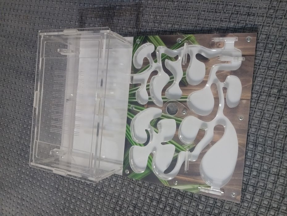 Муравьиная ферма, формикарий