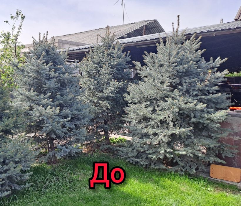 Услуги садовника. Садовник.