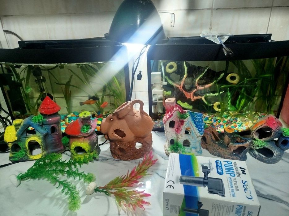 Аквариумы с рыбками