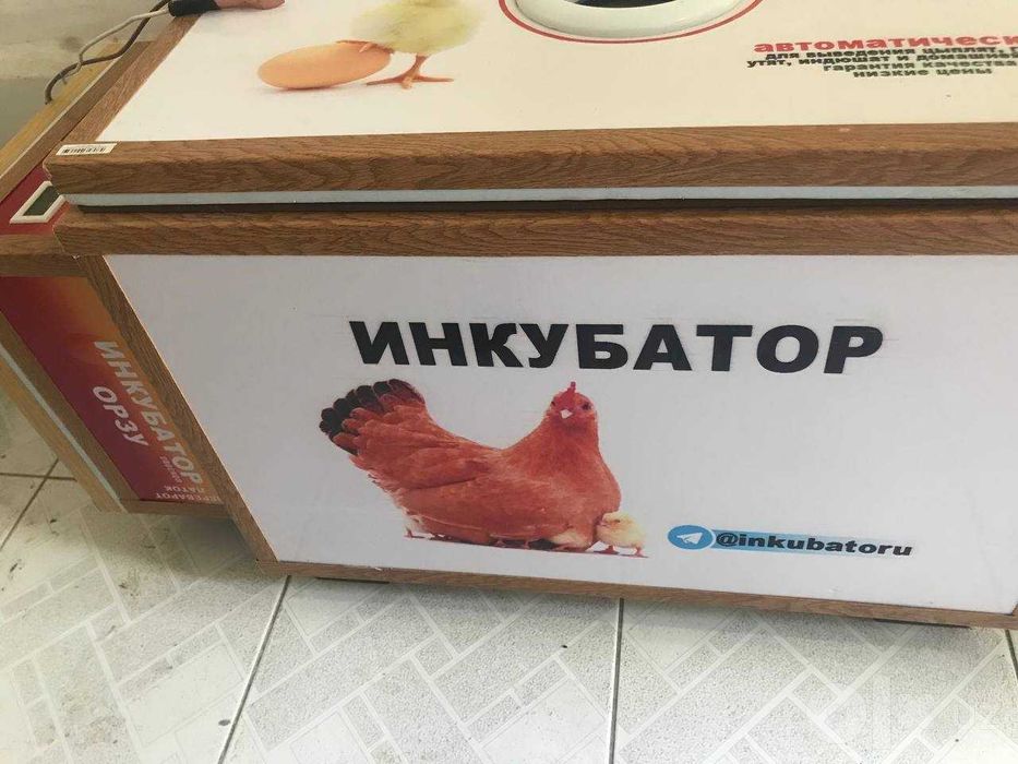 Инкубатор Сотилади!