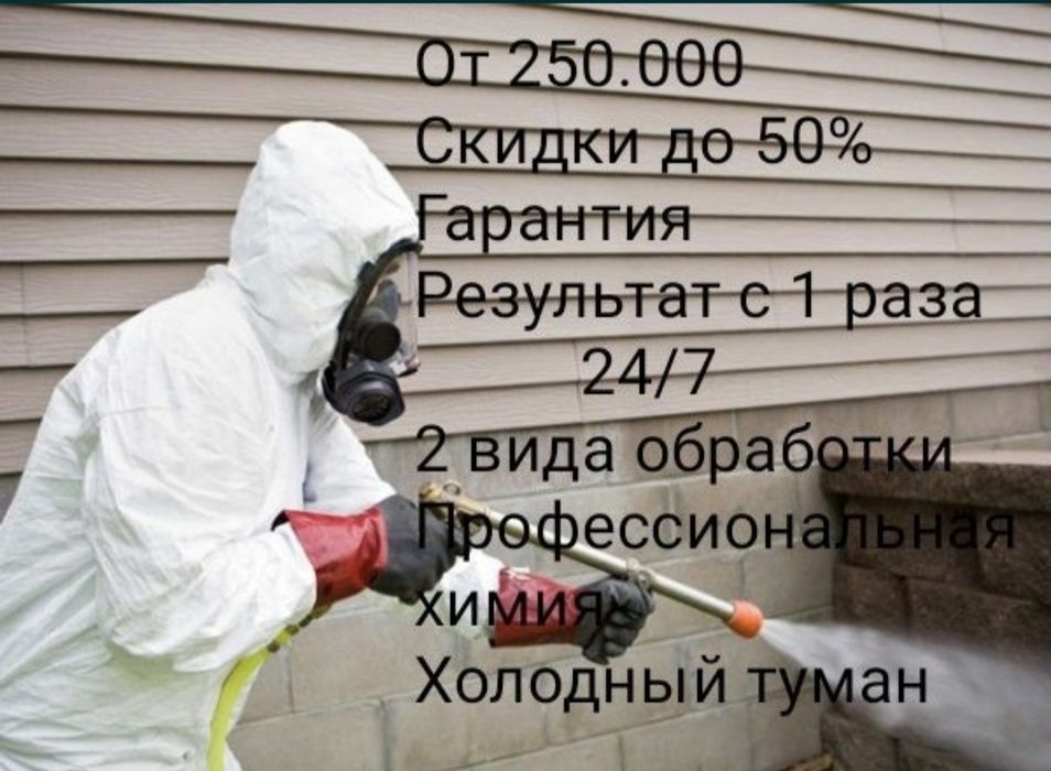 Дезинфекция от клопов тараканов крыс мышей скорпионов ос мух блох