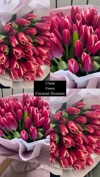 Свежий Тюльпандар