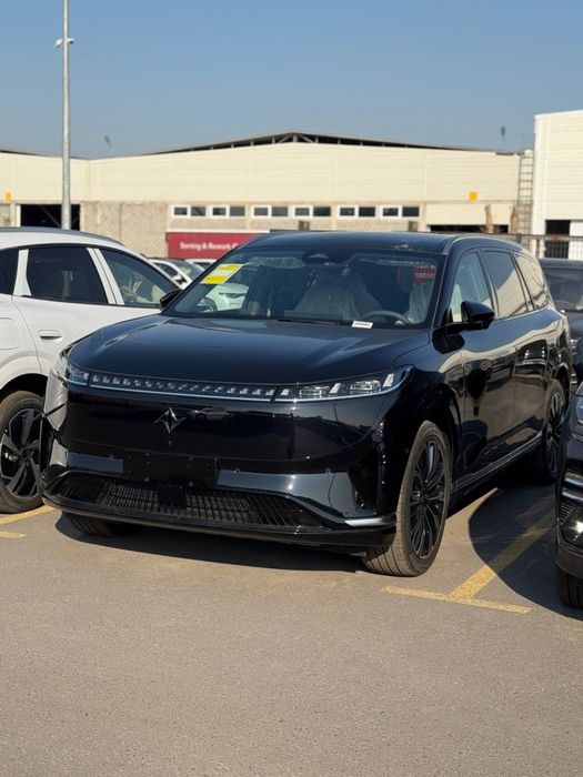 Donfeng 008 hybrid 2025 reystayling