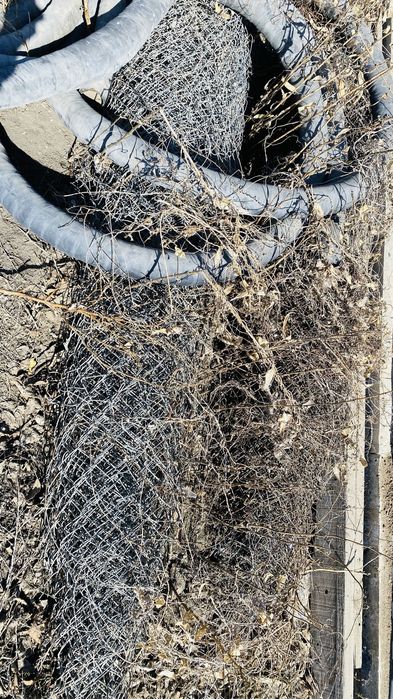 Продается сетка рябица