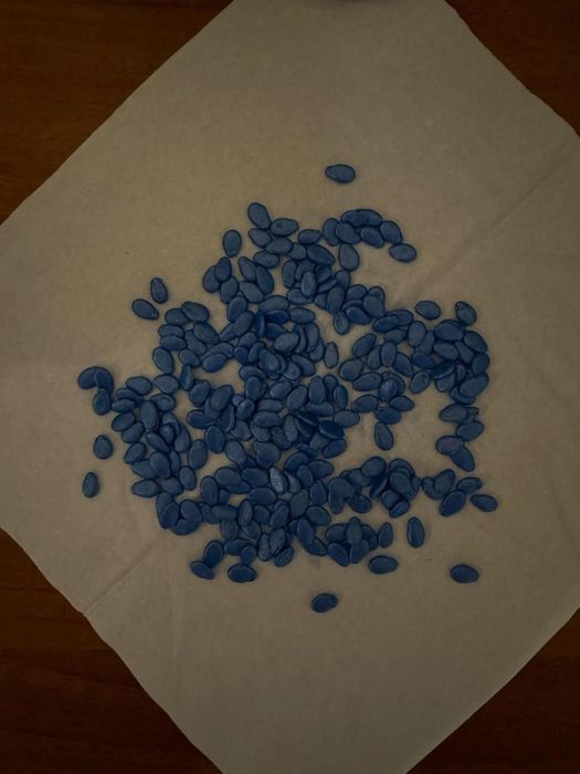 Семена за дини сорт Каристан F1 - Syngenta - 2500 в опаковка