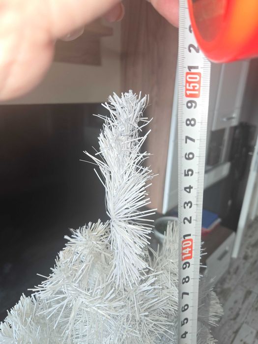 Елха бяла 150 см. за 20 евро