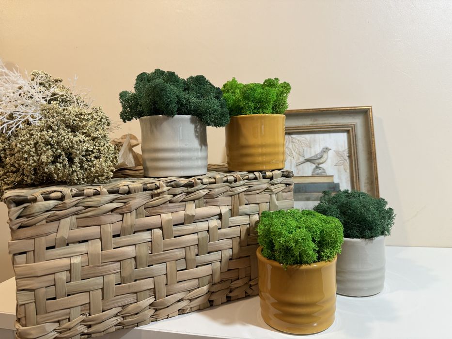 Подаръци за всеки повод скандинавски мъх