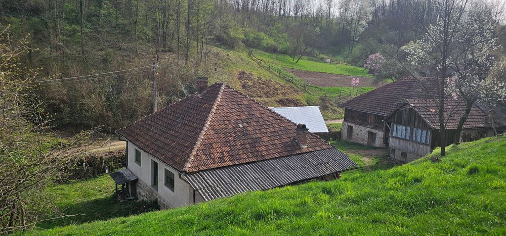 Vand casa cu gradina + padure + teren arabil