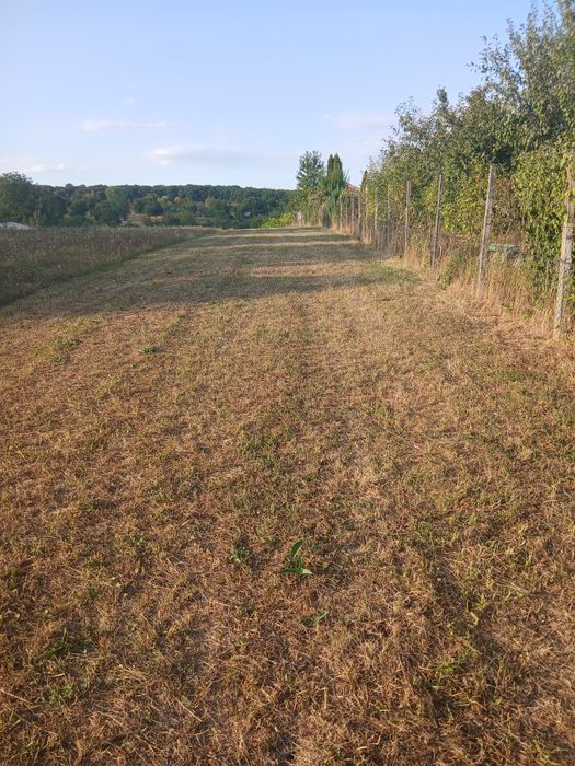 Teren priveliște de vis  situat in  Tropinii vechi-extravilan