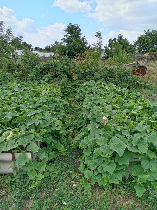 Продам частный дом