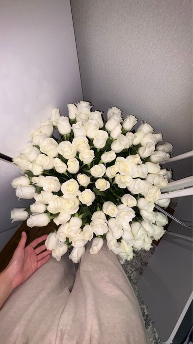 цветы свежие 101 роза