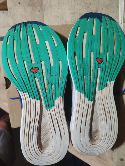 Salomon spectur albastru