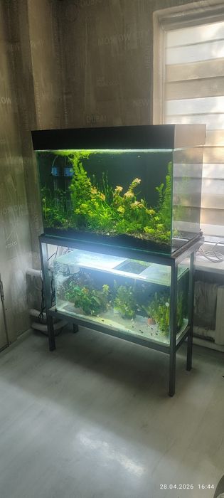 Аквариум 86 литров.