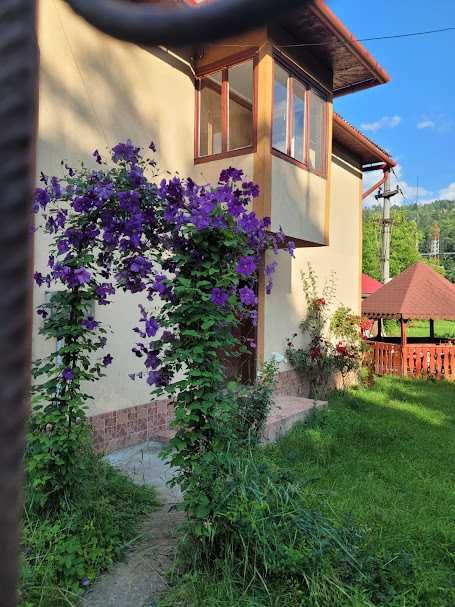 Casă de vanzare în Câmpeni