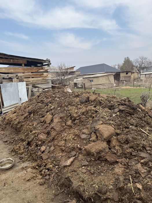 бесплатно навозз