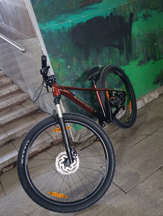 Giant talon 0 2026
