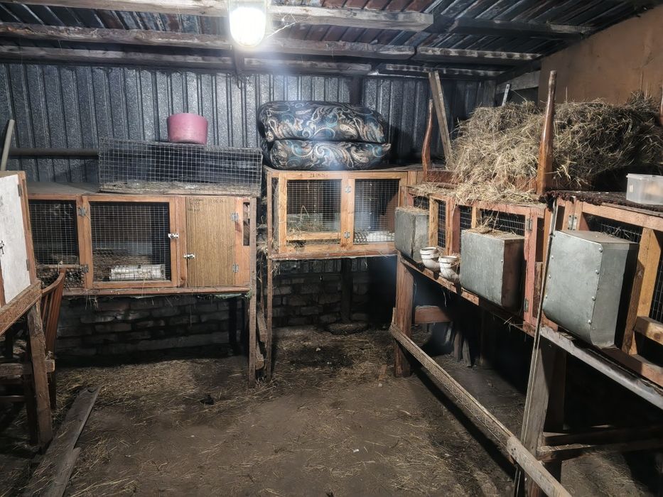 Продам клетки для кроликов
